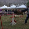foire-haricots 2011-09-17et18